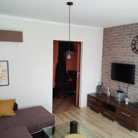 Green Apartment Z Bezplatnym Parkingiem Olsztyn (Warmian-Masurian) Exterior foto