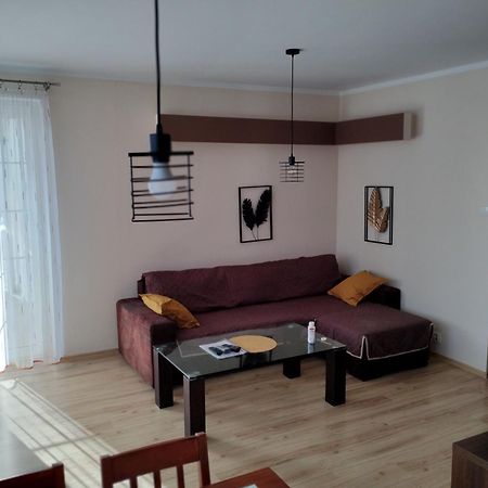 Green Apartment Z Bezplatnym Parkingiem Olsztyn (Warmian-Masurian) Exterior foto